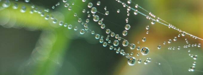 北海道アウトドアネットワーク（HON）とは